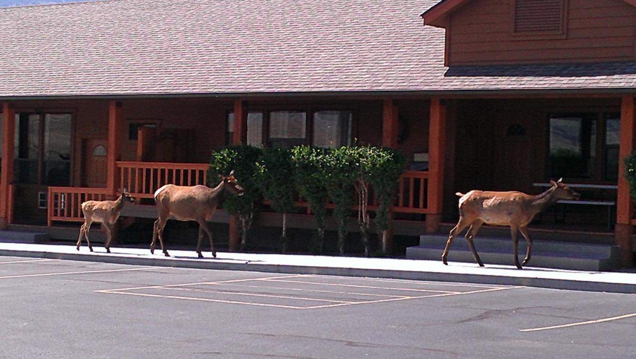 Yellowstone Village Inn&Suites Gardiner Esterno foto